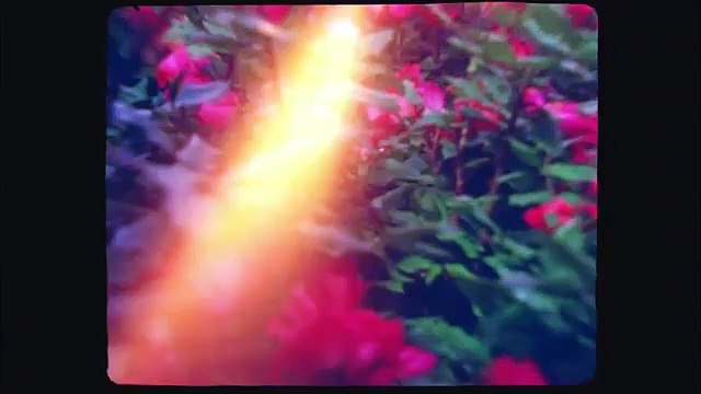 Lana Del Rey - National Anthem (Official Music Video)