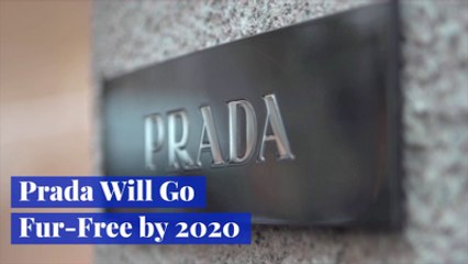 Prada Is Moving Towards More Cruelty Free Products