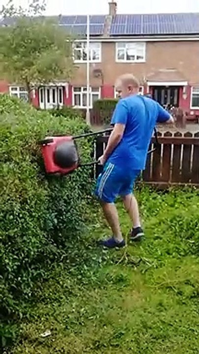 Jolie méthode pour tailler la haie... avec la TONDEUSE !!!