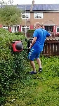 Jolie méthode pour tailler la haie... avec la TONDEUSE !!!
