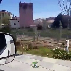 C'est très émouvant !