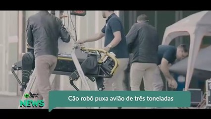 Cão robô puxa avião de três toneladas