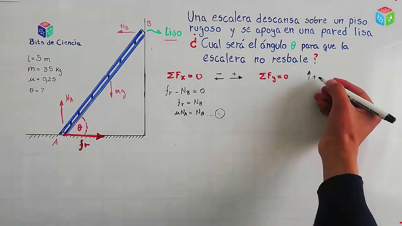 ✅ EJERCICIO DE FISICA – ESTATICA (1) APLICACIÓN DE LEYES DE NEWTON (Calcular el angulo de la escalera)