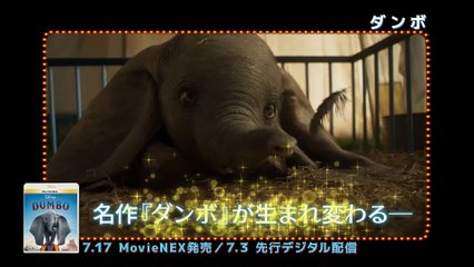 映画「ダンボ」MovieNEX　予告編