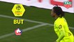 But Loïc REMY (35ème) / Stade Rennais FC - LOSC - (3-1) - (SRFC-LOSC) / 2018-19