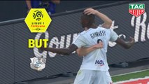 But Sehrou GUIRASSY (14ème) / Amiens SC - EA Guingamp - (2-1) - (ASC-EAG) / 2018-19