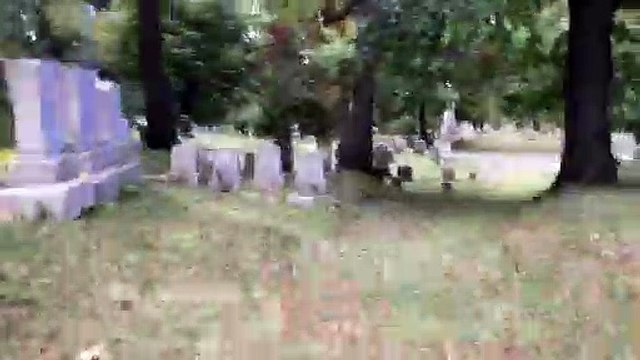 Jelly Fish from Minimus by Caalamus