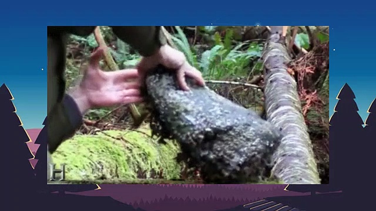 Alone.S02E09.The Madness