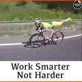 Work Smarter not harder