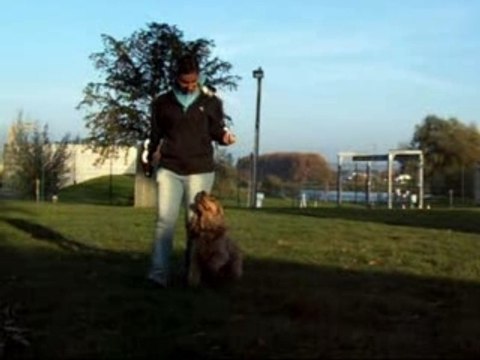 Obé-rythmée toupy oct nov 07