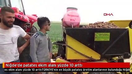 Niğde'de patates ekim alanı yüzde 10 arttı