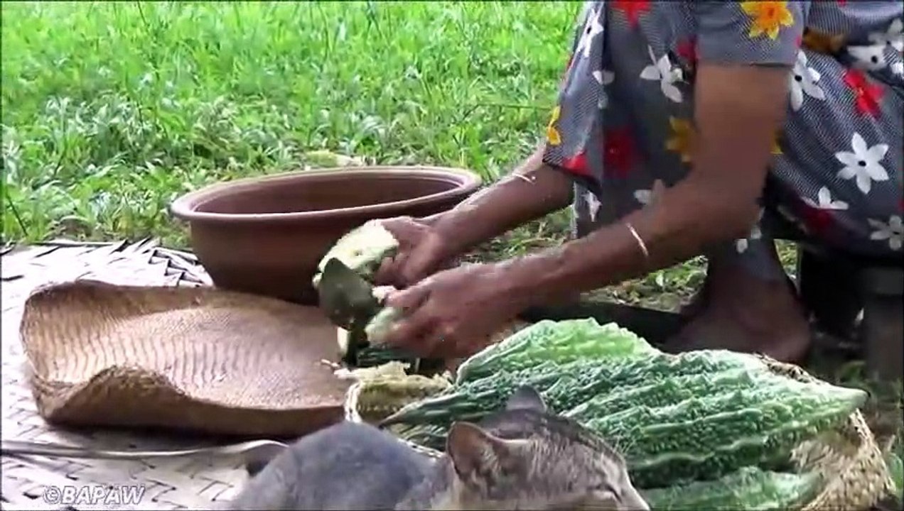 La Margose Masala, Curry  Santé Alimentaire du Village par la grand-mère | la Vie du Village