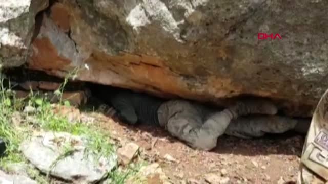 SİİRT Eruh'ta PKK'lı teröristlerin silah ve mühimmatı ele geçirildi