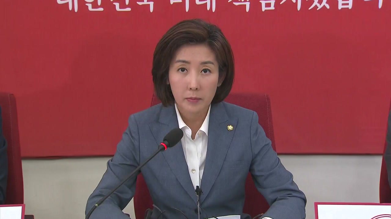 한국당, 6차 대규모 장외집회...與 "국회 복귀해야" / YTN