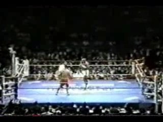 Andy Hug Vs. Ernesto Hoost