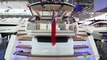2019 Fairline Targa 43 Luxury Yacht - Deck and Interior Walkaround - 2019 Boot Dusseldorf