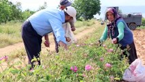 Gül diyarında 2 asırdır aynı yöntemle gül yağı çıkarıyorlar - BURDUR