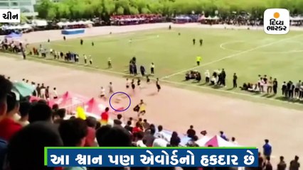 100 મીટરની દોડમાં રખડતો શ્વાન જીતી ગયો, વીડિયો જોઈને લોકોએ મજા લીધી