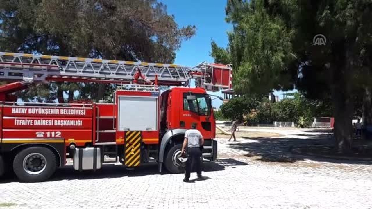 Yuvasından düşen kartal yavrusunu itfaiye ekipleri kurtardı