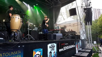 Mulhouse : toutes les musiques du monde au festival Musaïka