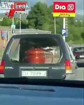 Le cercueil se renverse dans la voiture des pompes funèbres !