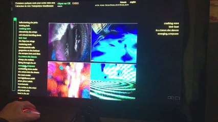 Dream Attractor (2019) Michel Bret & Marie-Hélène Tramus