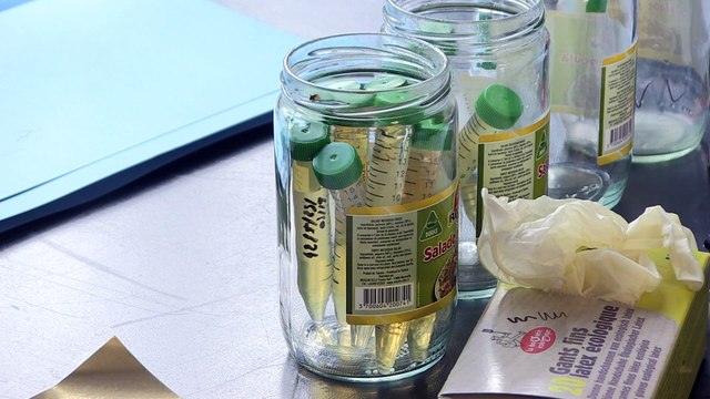 DES TESTS D'URINE POUR DETECTER DES TRACES DE GLYPHOSATE