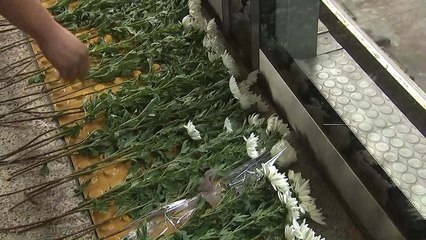 '구의역 김군' 사망 3주기 앞두고 추모제 / YTN