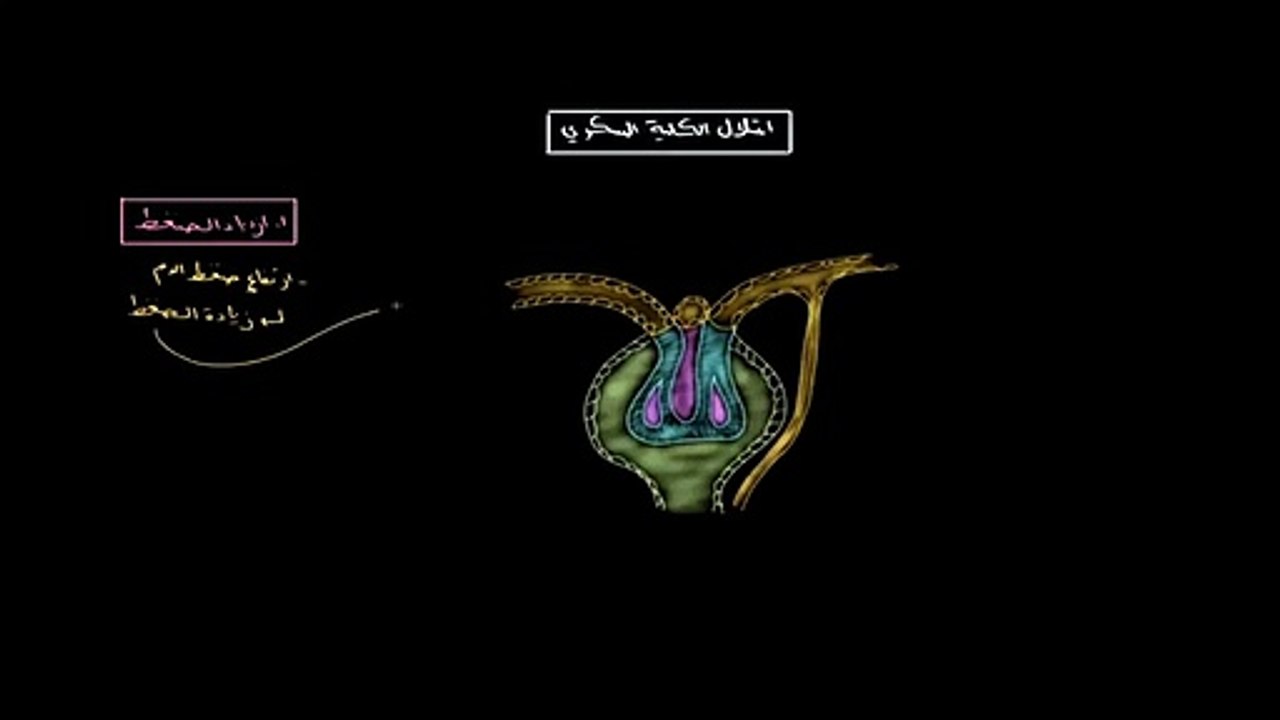 الآليات المسببة لاعتلال الكِلية السُّكري