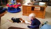 Funny Babies and Dogs are Best Friends