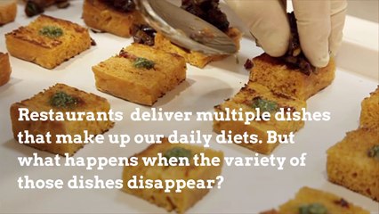 Our Food Source Is Being Destroyed With The Environment