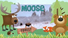 MOOSE Animals for children. Kids videos. Kindergarten - Preschool learning