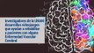 Tecnología y Ciencia | Videojuegos pueden rehabilitar a pacientes con lesión cerebral: UNAM