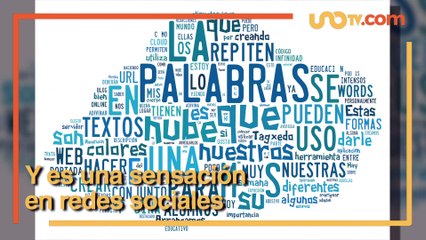 Internacional | Escutoide esta es la nueva palabra en español y así la usan