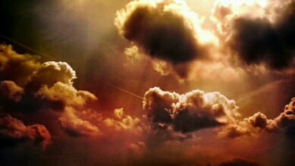 Nebunul de Alb : Împotriva duhului egoist al lumii de azi