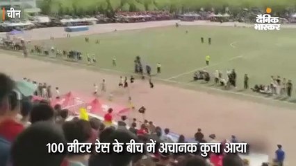 प्रतियोगियों को पछाड़कर तीसरे स्थान पर आया कुत्ता