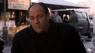 You'll be Stupid Forever - The Sopranos (HD)