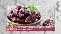 Pratik Bilgiler | Çilek saplarını ve hurma çekirdeklerini nasıl ayıklarız?