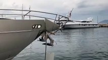 Les deux yachts qui se sont percutés au large de Cannes