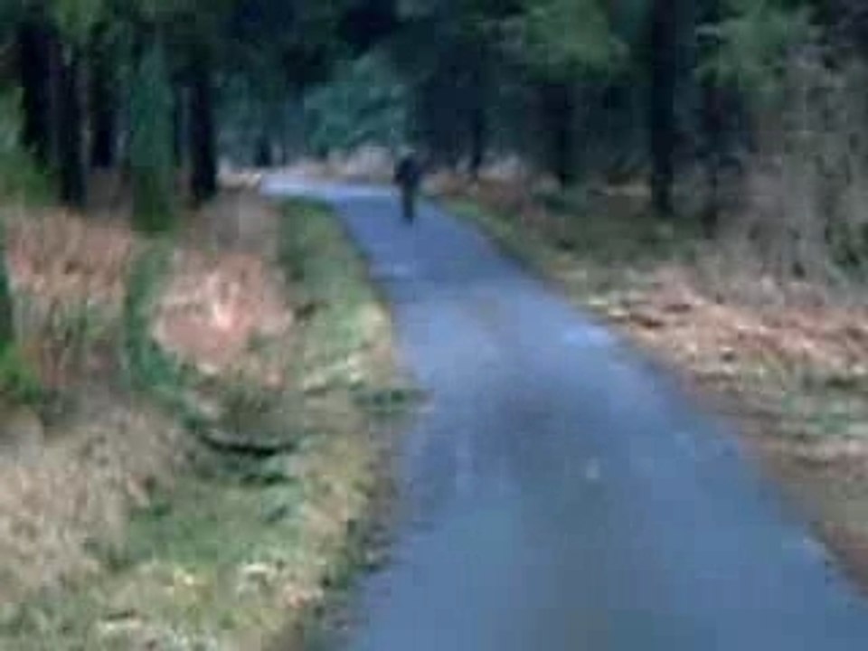 longboard maupuy