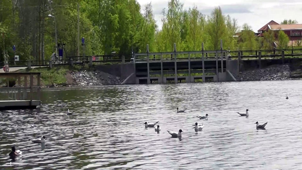 May 12 2019 F2