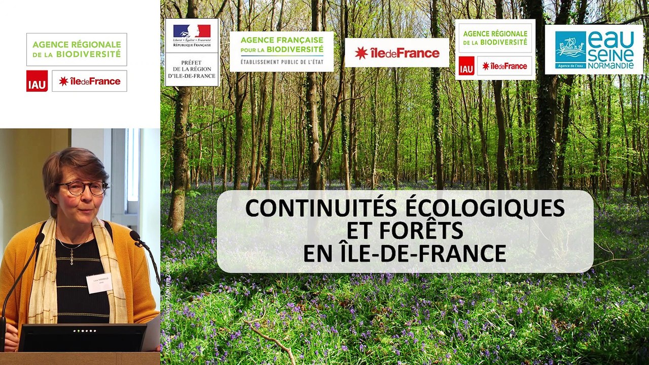 1 -  Lucile RAMBAUD - Rencontre technique "Continuités écologiques et forêts" 2019