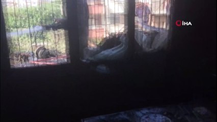 Antalya'da ev yangını korkuttu