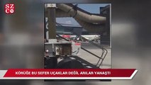İstanbul Havalimanı'nı arılar bastı
