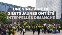 Gilets jaunes à Bruxelles: des projectiles contre le siège du PS, une vingtaine de personnes interpellée
