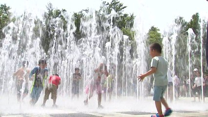 숲에서 보낸 '시원한 휴일'...가족행사 풍성 / YTN