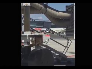 İstanbul Havalimanı'nı arılar bastı!