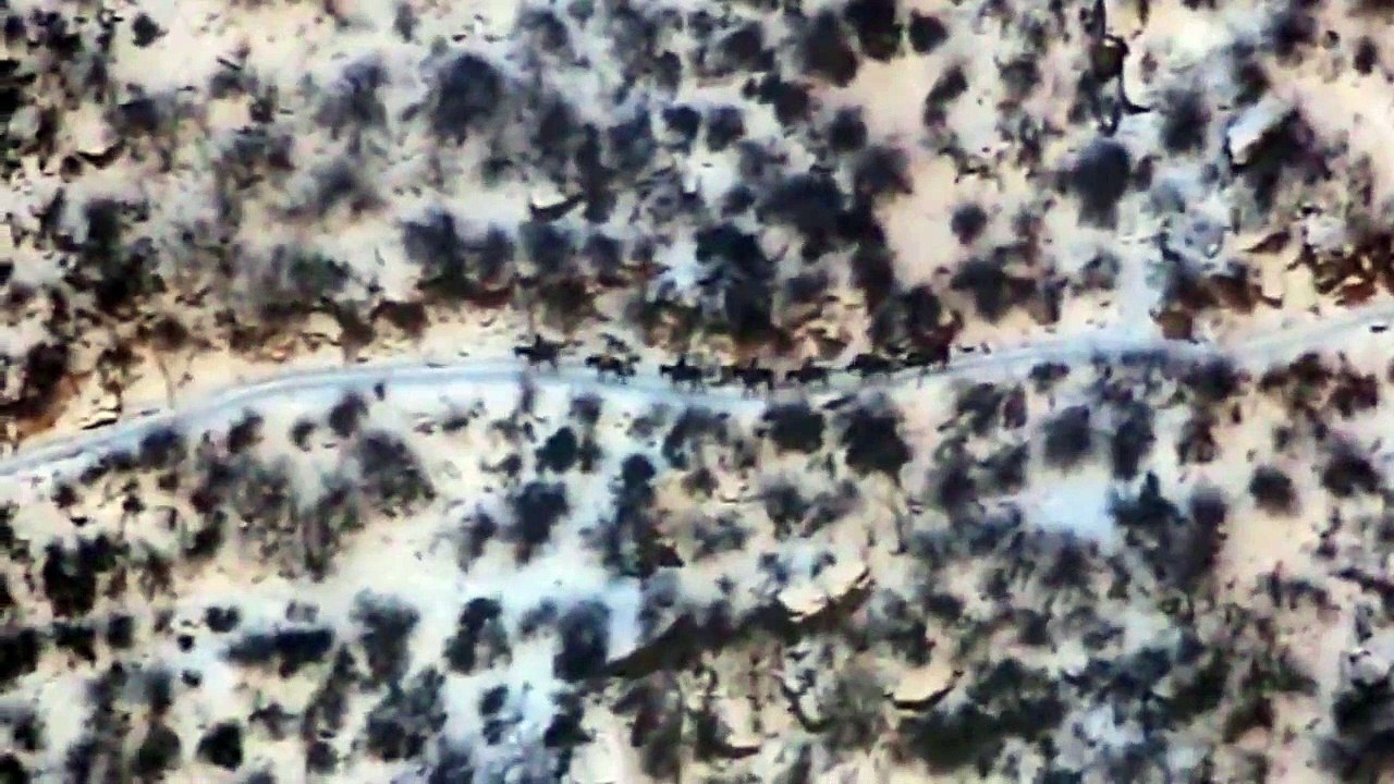 Ces cavaliers marchent sur un chemin au bord du canyon ! Vidéo impressionnante !