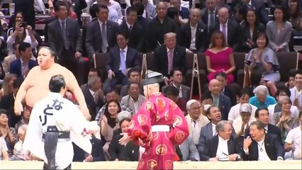 Trump in Japan: Golf- und Sumo-Diplomatie