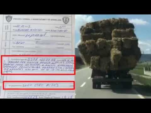 Turisti çuditet nga ajo që sheh në rrugë, i çon videon në Instagram policisë dhe merr falenderime